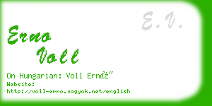 erno voll business card